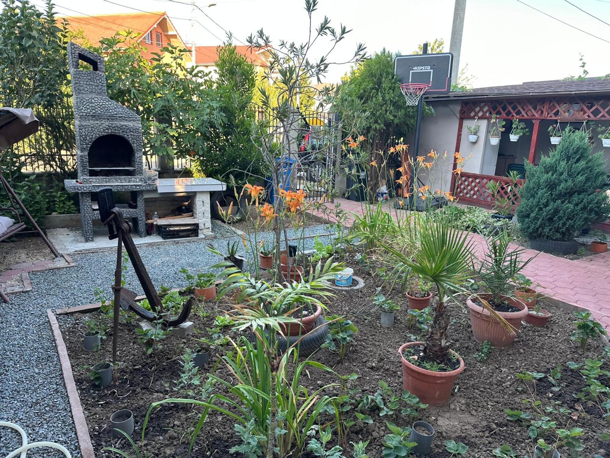 Apartamento Casa Vio parter Eforie Nord Exterior foto